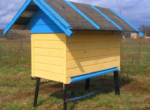  Como fazer uma colméia para suas próprias abelhas